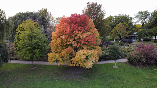 Park «Winnemac Park», reviews and photos, 5100 N Leavitt St, Chicago, IL 60625, USA