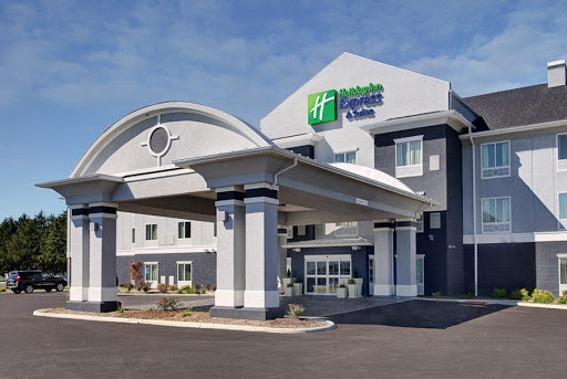 Holiday Inn Express & Suites North Fremont, an IHG Hotel image 1