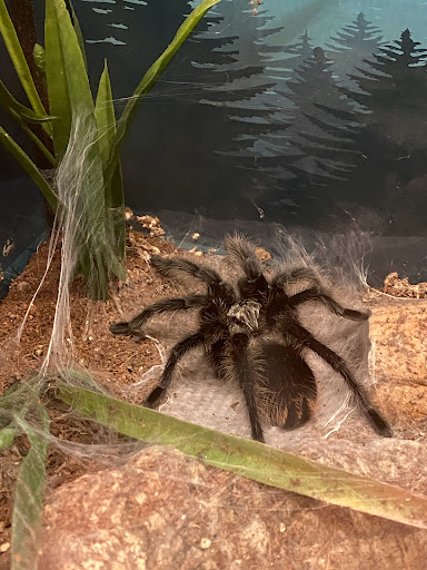 Learning Center «Arizona Science Center», reviews and photos, 600 E Washington St, Phoenix, AZ 85004, USA