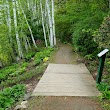 Viles Arboretum