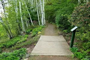 Viles Arboretum image