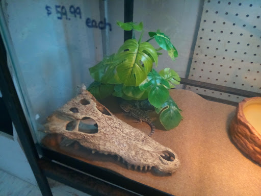 Tropical Fish Store «Pet World», reviews and photos, 3350 US-1, St Augustine, FL 32086, USA