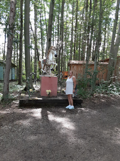 Tourist Attraction «The Great Lakes Medieval Faire», reviews and photos, 3033 OH-534, Rock Creek, OH 44084, USA