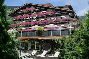 Boutiquehotel Haidachhof 4s Zillertal image