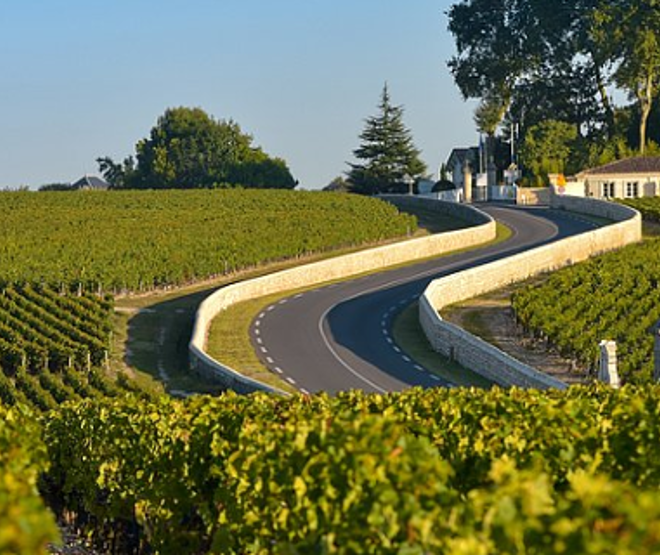 Bordeaux Optimum / wine tours / private drivers Lamarque