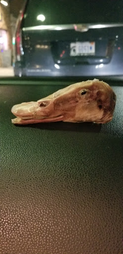 Pet Supply Store «Decadent Dogs», reviews and photos, 206 S River Ave, Holland, MI 49423, USA