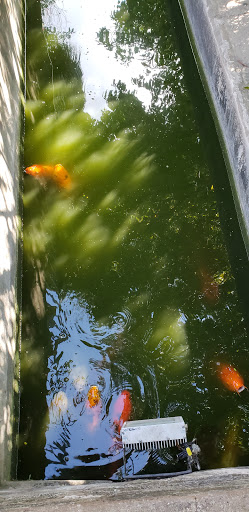 Gift Shop «Alamo Gift Shop», reviews and photos, 300 Alamo Plaza, San Antonio, TX 78205, USA