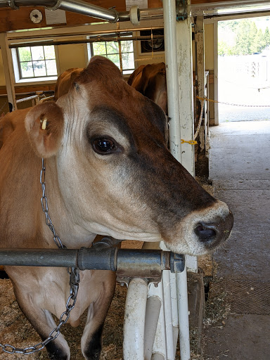 Historical Place «Marsh-Billings-Rockefeller National Historical Park», reviews and photos, 54 Elm St, Woodstock, VT 05091, USA