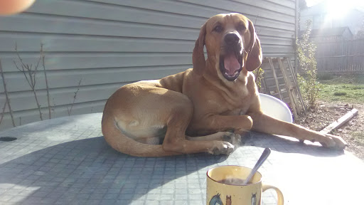 Casino «Hollywood Casino at Charles Town Races», reviews and photos, 580 E 5th Ave, Ranson, WV 25438, USA