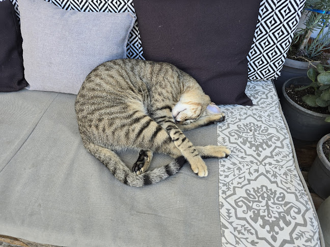 pastry-shop-1652.business.site