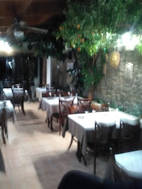 Atmosphère du Restaurant familial Restaurant Le Vulcano à Châlons-en-Champagne - n°11