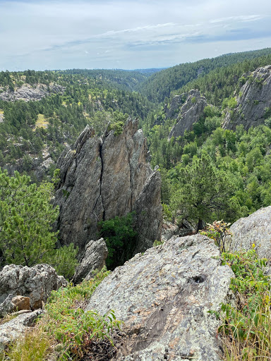 Insurance Agency «Ben Just - State Farm Insurance Agent», reviews and photos