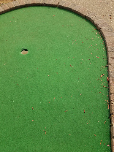 Tourist Attraction «GO USA Fun Park», reviews and photos, 2270 Armory Dr, Murfreesboro, TN 37129, USA