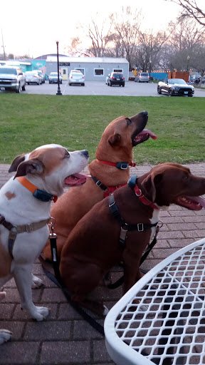 Park «Bicentennial Riverfront Park», reviews and photos, 301 E Hydraulic St, Yorkville, IL 60560, USA