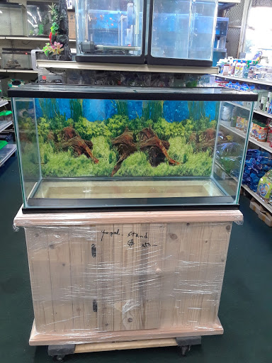 Pet Store «34 Pet Shop», reviews and photos, 3434 W Slauson Ave, Los Angeles, CA 90043, USA