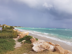 Foto de Glenfield Beach área selvagem