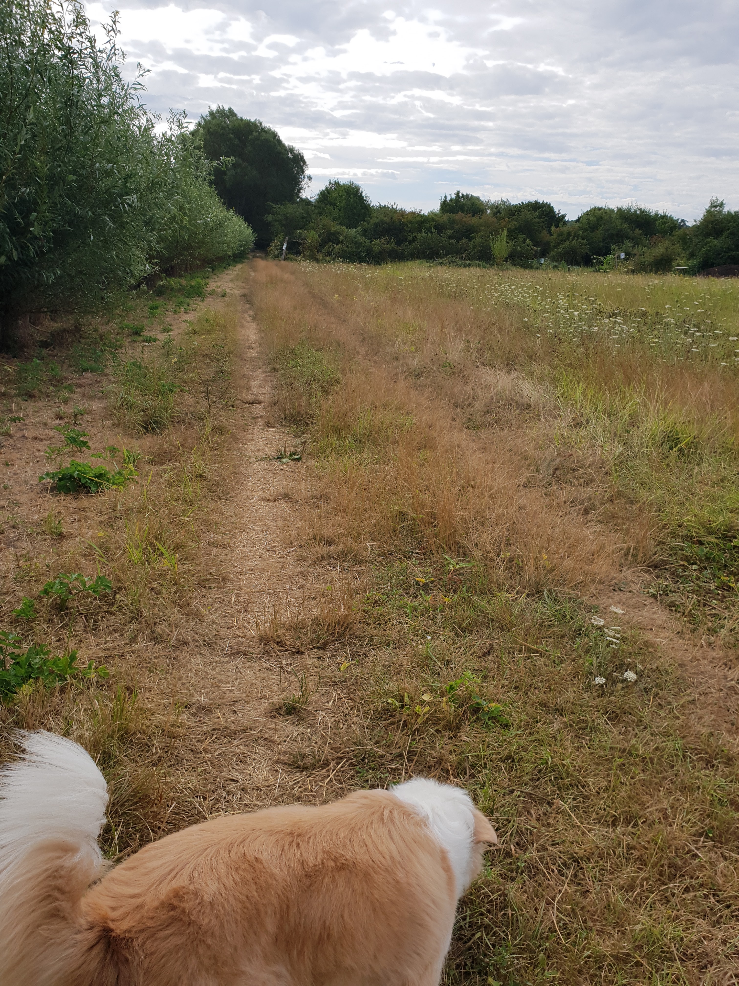 Photo n° 1 de l'avis de Jkar85. fait le 05/08/2018 à 11:19