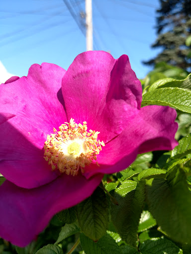 Casino «One Casino Square Shopping Center», reviews and photos, 393 Mile Rd, Wells, ME 04090, USA