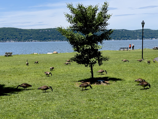 Park «Matthiessen Park», reviews and photos, 1 Bridge St, Irvington, NY 10533, USA