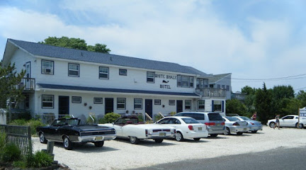 White Whale Motel