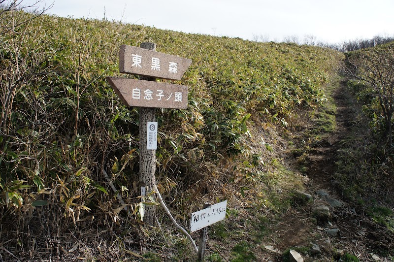 東黒森