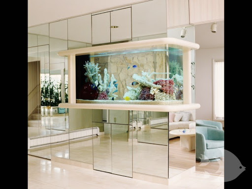 Aquarium «Aquarium Design International», reviews and photos, 9150 Belvedere Rd #110, Royal Palm Beach, FL 33411, USA