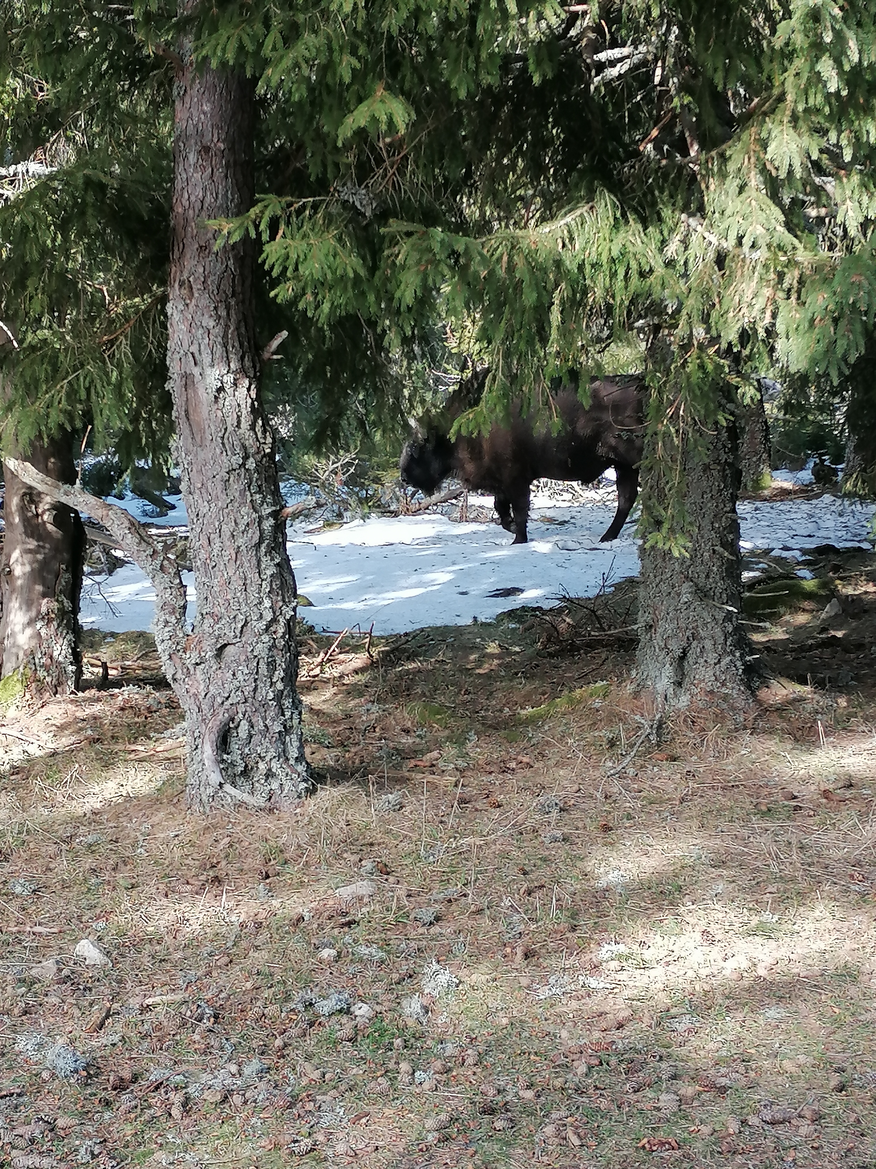 Photo n° 3 de l'avis de Mitch.4 fait le 25/02/2023 à 21:08