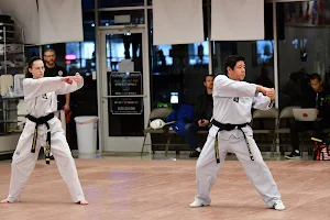 United States Taekwondo Academy image