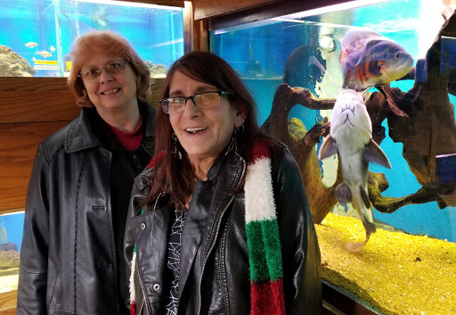 Pet Supply Store «Tropical World Pets», reviews and photos, 8444 Watson Rd, Webster Groves, MO 63119, USA