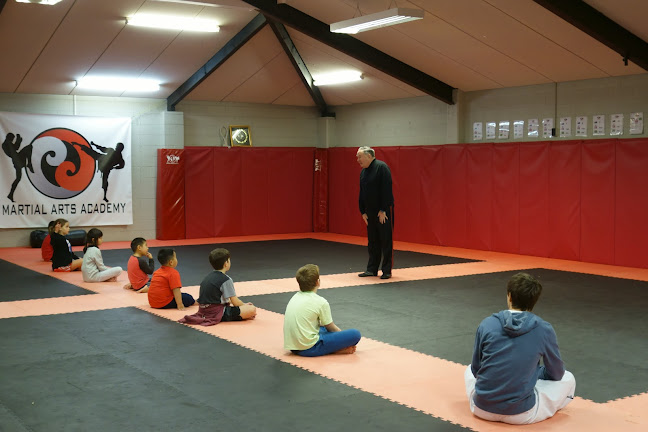 Reviews of The Martial Arts Academy in Tauranga - School