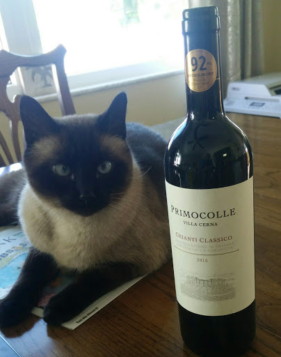 Pet Supply Store «Park Feed Store & Pet Supply», reviews and photos, 5775 Park Blvd N, Pinellas Park, FL 33781, USA