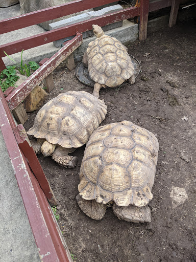 Pet Store «Fish-N-Pets Unlimited», reviews and photos, 11710 Bissonnet St, Houston, TX 77099, USA