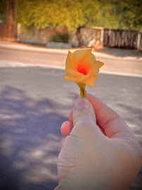 Sir Carpet - Photo 2 - Car repair in Glendale, AZ, Glendale