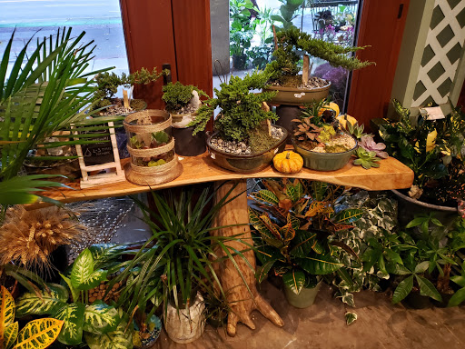 Florist «Fern by Boston Rose Florist», reviews and photos, 225 Massachusetts Ave, Boston, MA 02115, USA