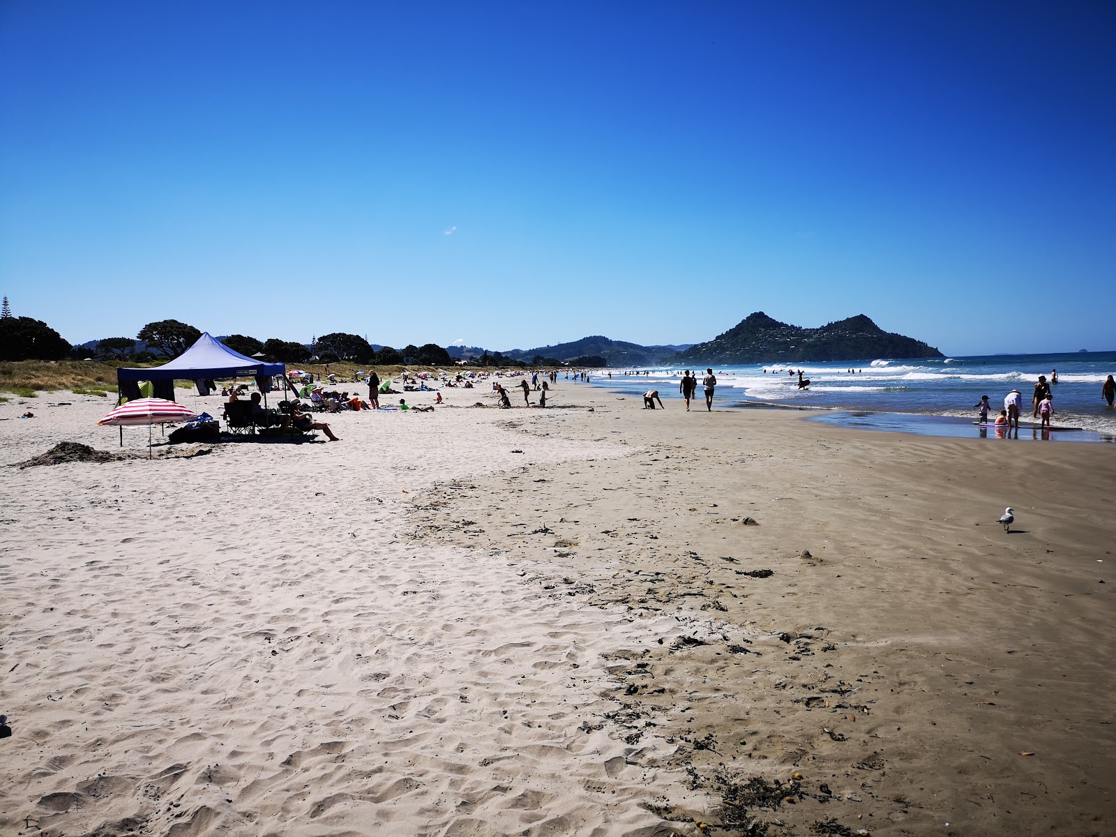 Fotografie cu Pauanui Beach cu drept și lung