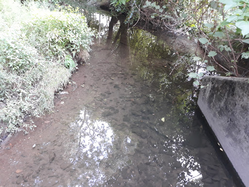 Park «Archmere Park», reviews and photos, 4117 Oak Park Ave, Cleveland, OH 44109, USA