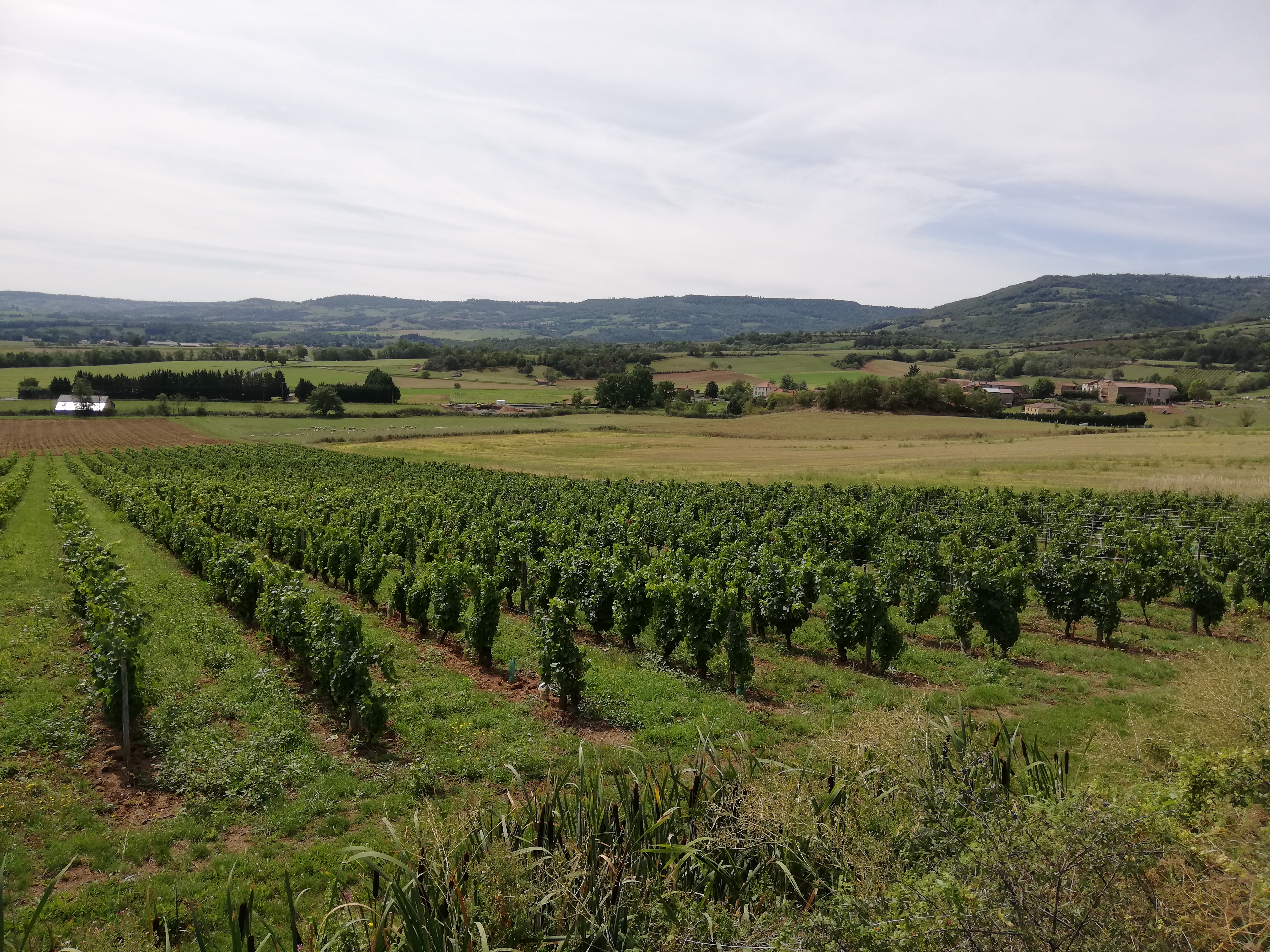 Photo n° 17 de l'avis de Christelle.u fait le 28/08/2019 à 11:50