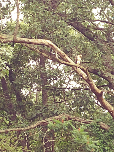 Park «Dorchester Park», reviews and photos, 2180 Dorchester Ave, Dorchester, MA 02124, USA