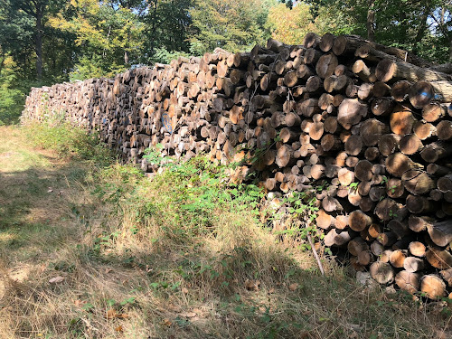 Bois de chêne à Fontenay-Trésigny