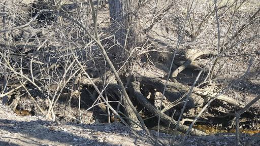 Country Club «Whitmoor Country Club», reviews and photos, 1100 Whitmoor Dr, Weldon Spring, MO 63304, USA