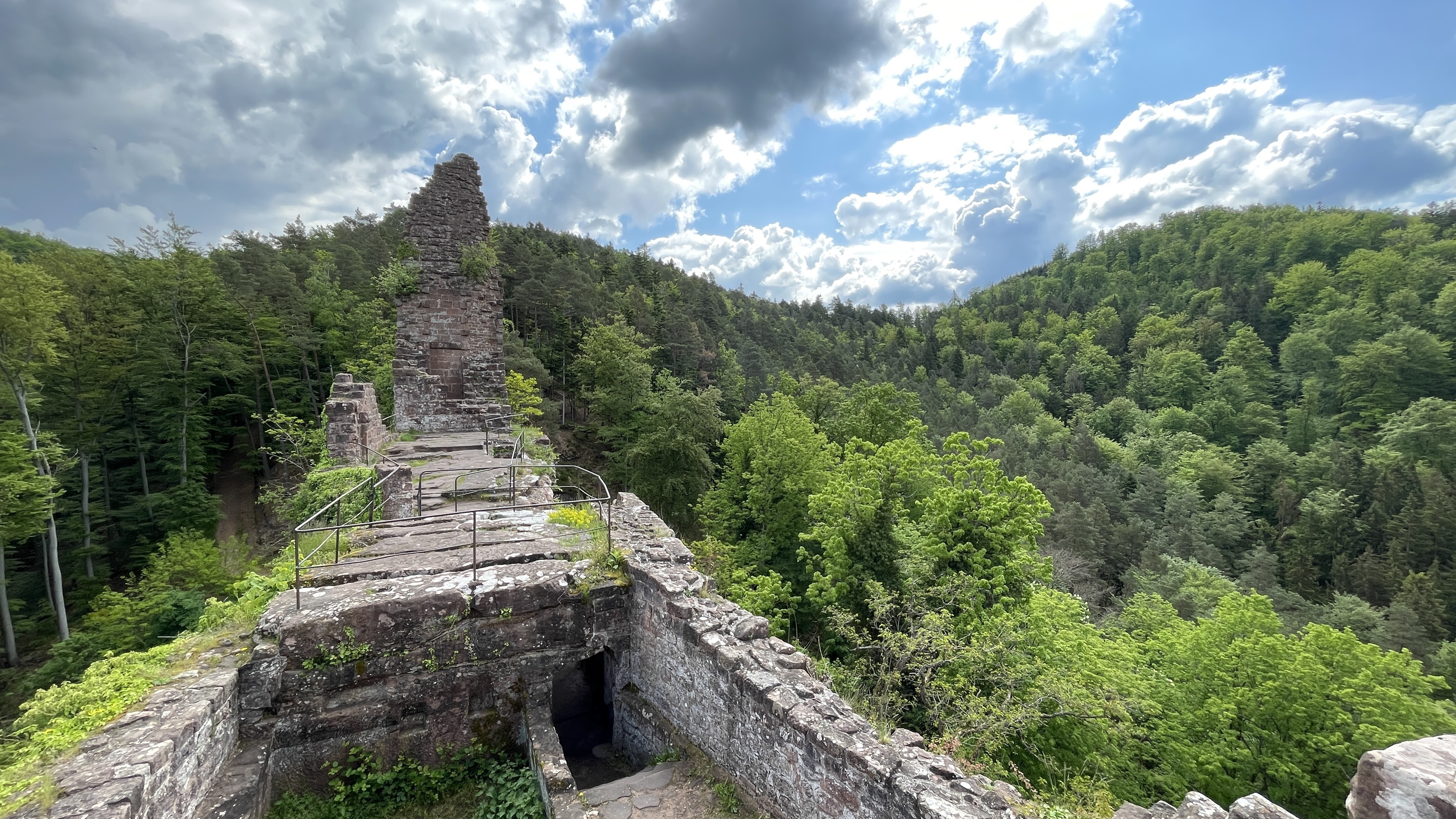 Photo n° 6 de l'avis de Klapphorn. fait le 17/05/2023 à 11:06