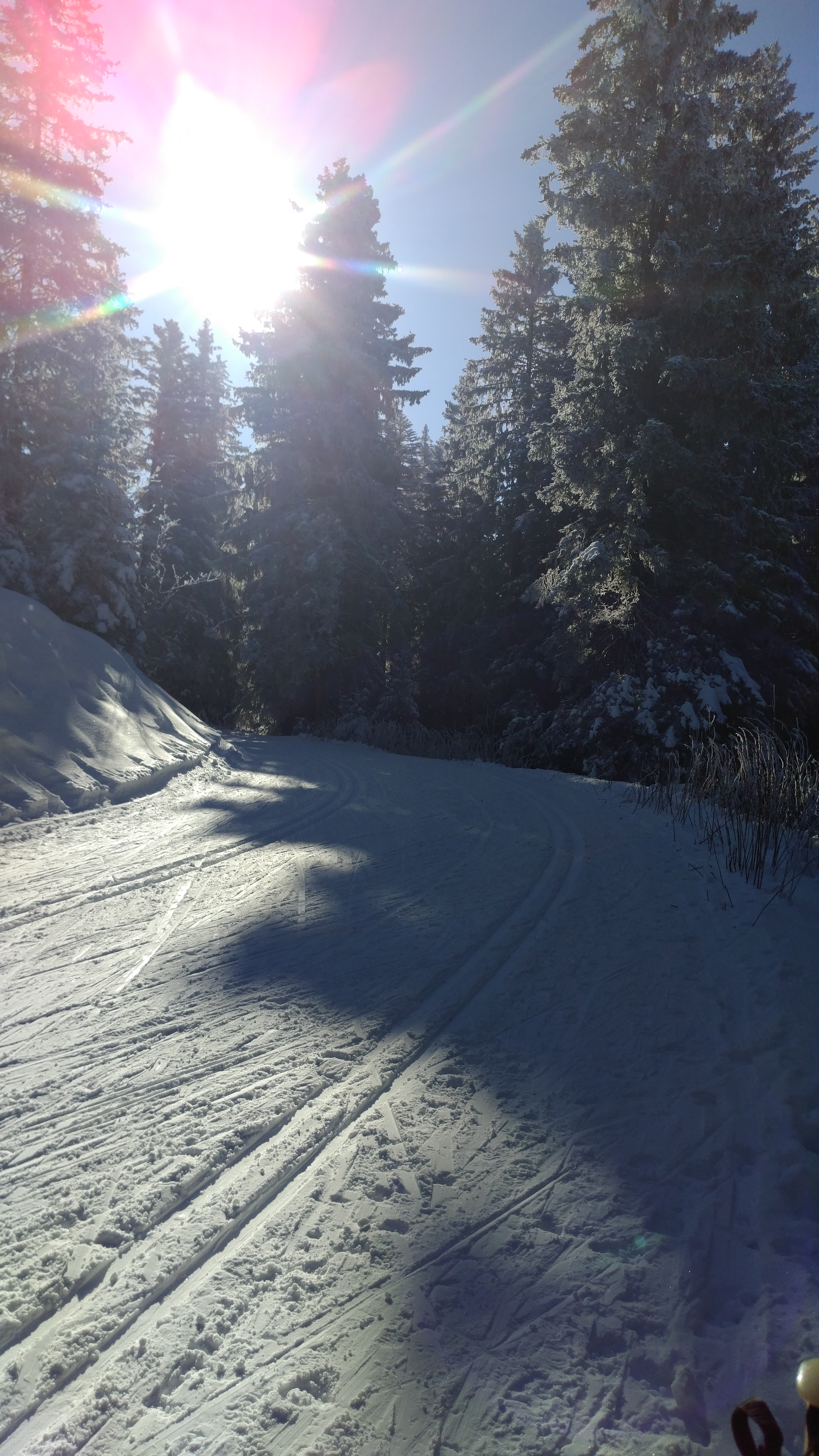 Photo n° 11 de l'avis de Kirill.a fait le 29/01/2023 à 17:28