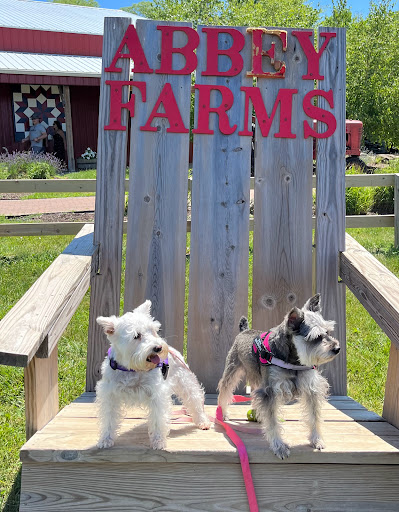 Farm «Abbey Farms», reviews and photos, 2855 Hart Rd, Aurora, IL 60502, USA