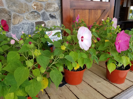 Farm «Four Town Farm», reviews and photos, 90 George St, Seekonk, MA 02771, USA