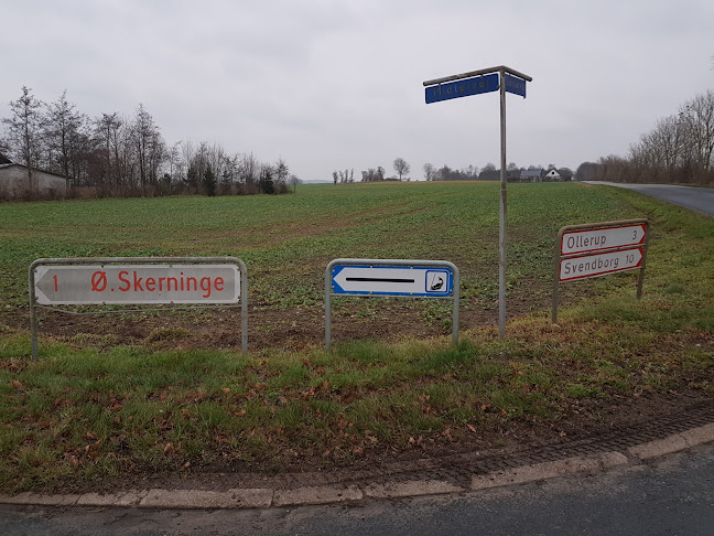 Kommentarer og anmeldelser af Ø-Skerninge Forsamlingshus