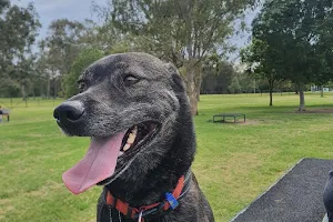 Carindale Off-Leash Dog Park image