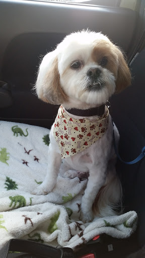 Pet Supply Store «PetSmart», reviews and photos, 1050 McKinley Pl Dr #30, San Marcos, TX 78666, USA