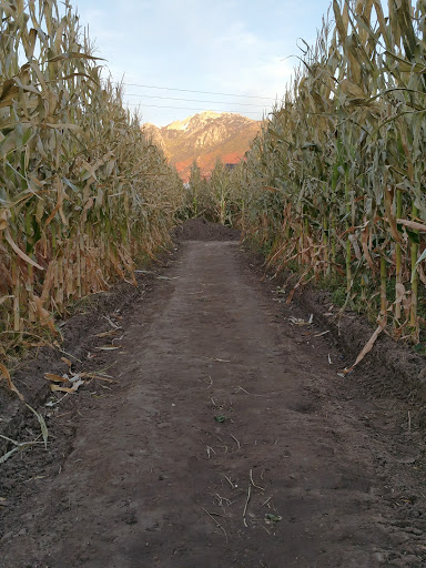 Produce Market «Kuwahara Farms», reviews and photos, 736 12300 S, Draper, UT 84020, USA