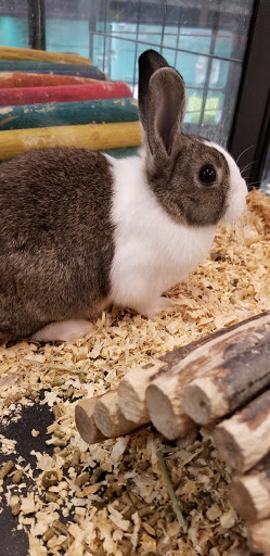 Pet Supply Store «Feeders Supply», reviews and photos, 1610 Ring Rd, Elizabethtown, KY 42701, USA