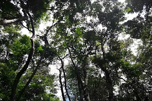 Maracanã Marine Extractive Reserve image